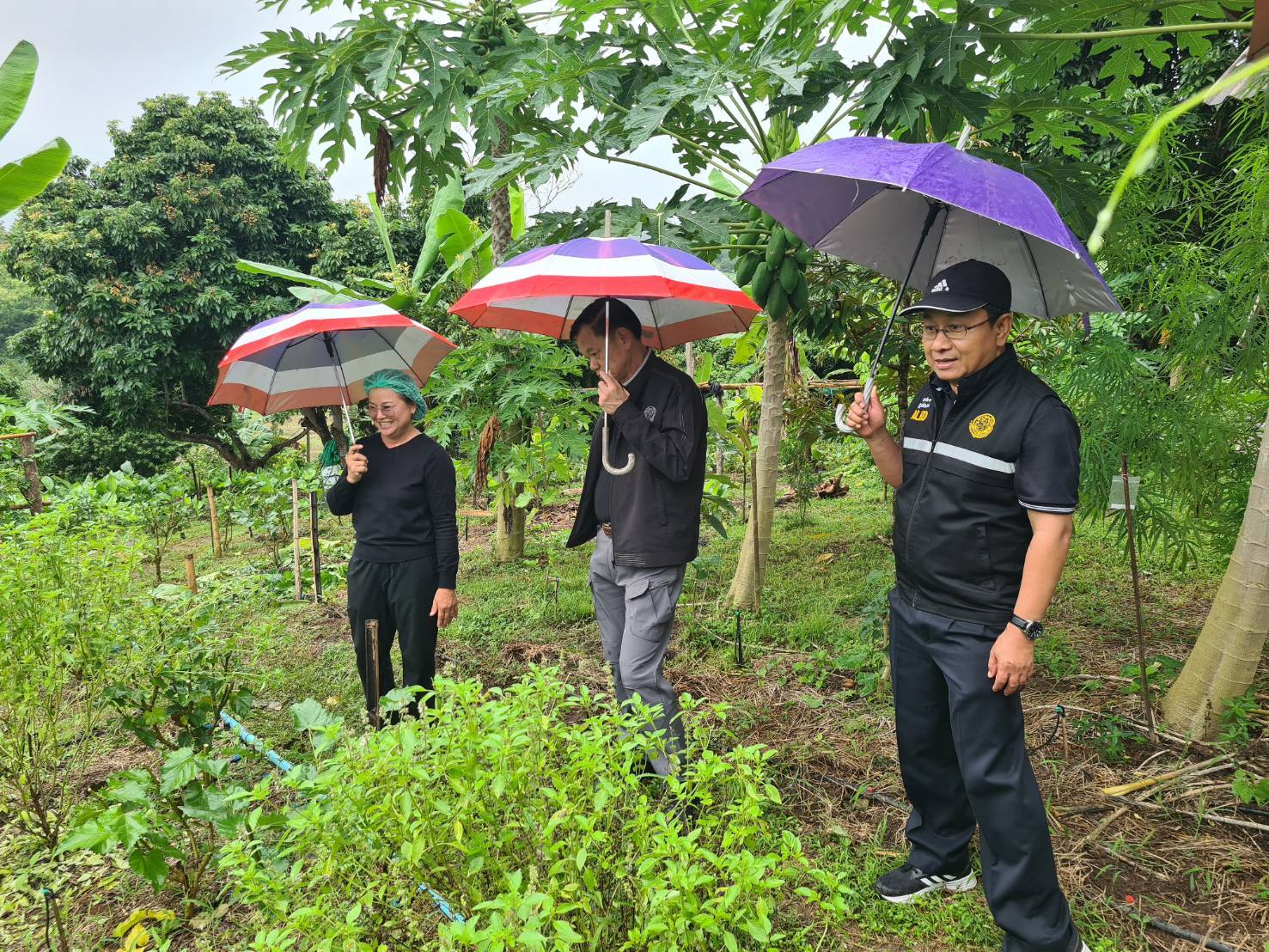 title - หัวหน้าผู้ตรวจราชการ ส.ป.ก. ประชุมติดตามผลการดำเนินงานตามแผนการตรวจราชการของ ส.ป.ก. ประจำปีงบประมาณ พ.ศ. 2569 รอบที่ 2 จังหวัดน่าน